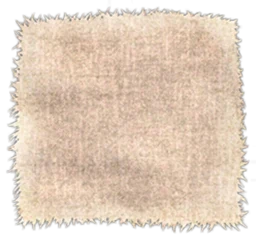 Cloth